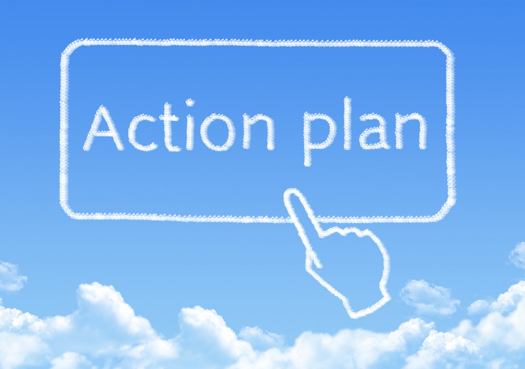 Action plan