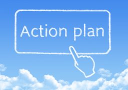 Action plan