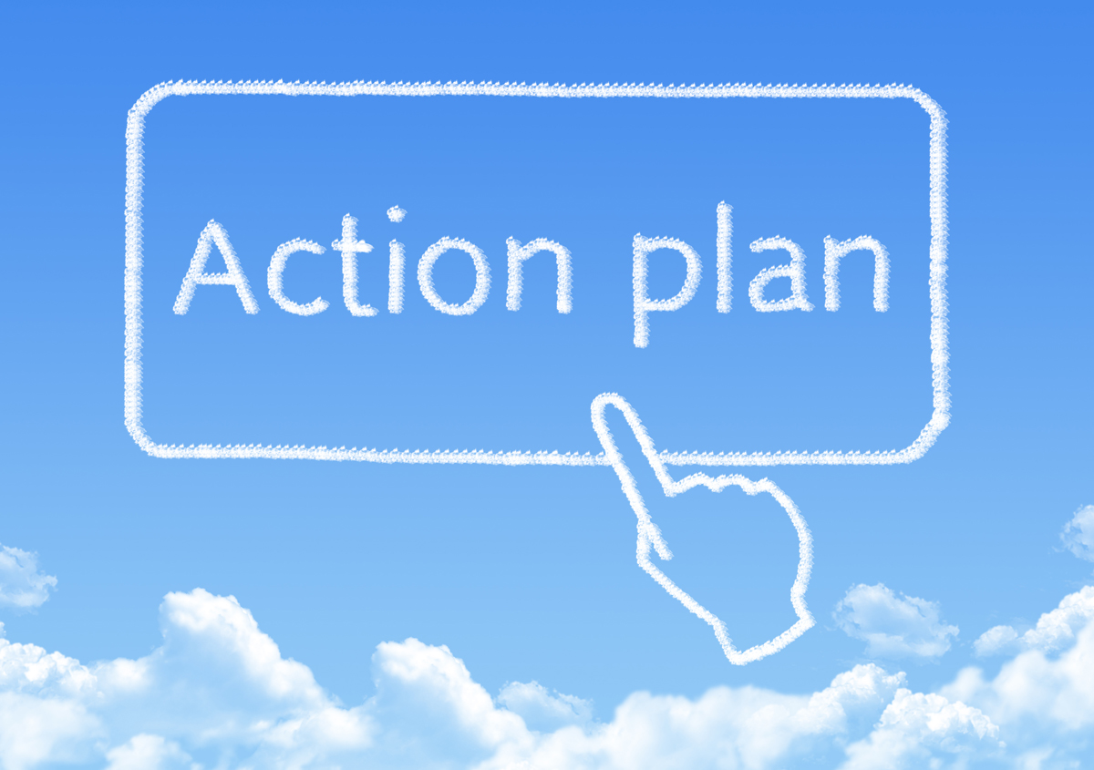 Action plan